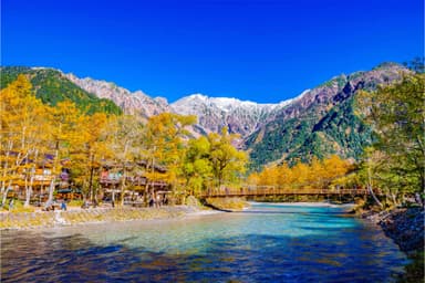 ☘️ Nature & Scenic