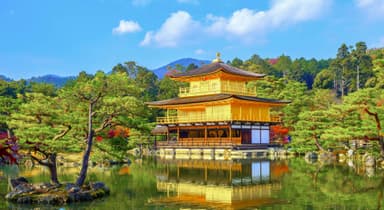 🗼 Landmark & Heritage Sites