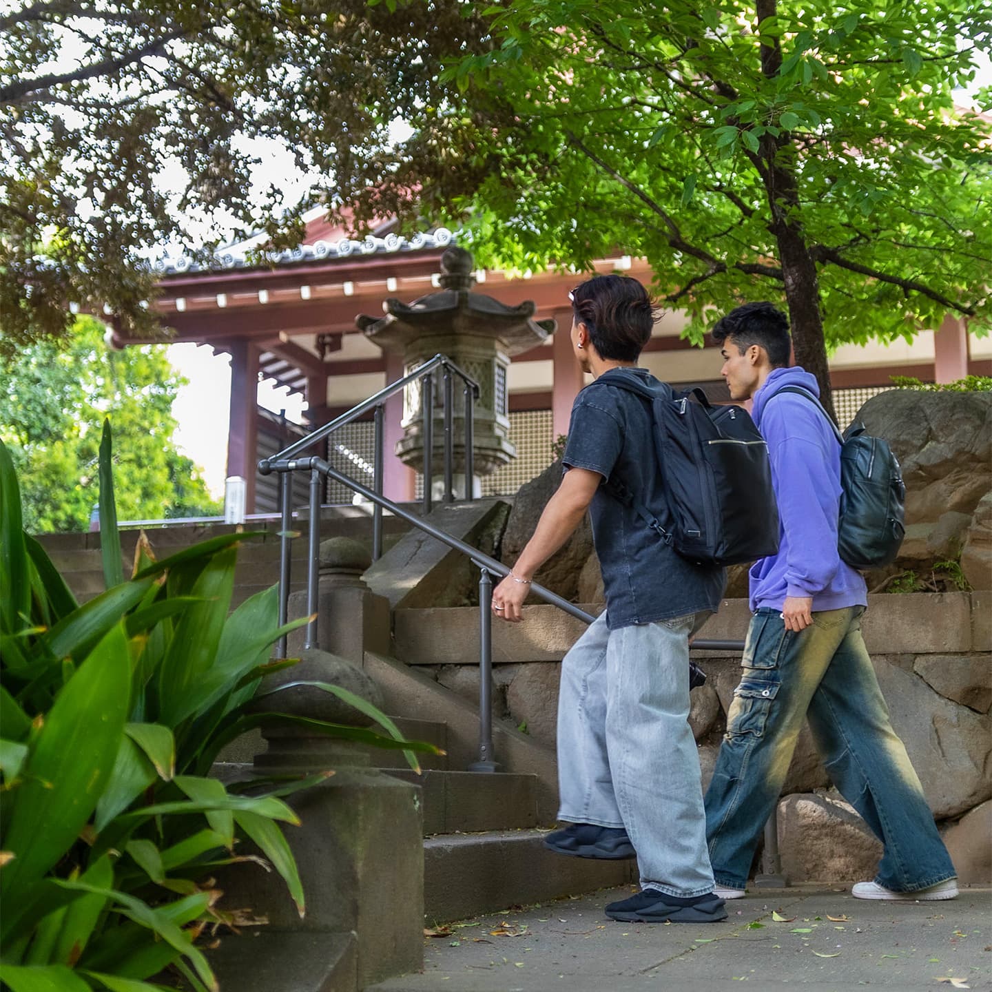 Learn about the culture