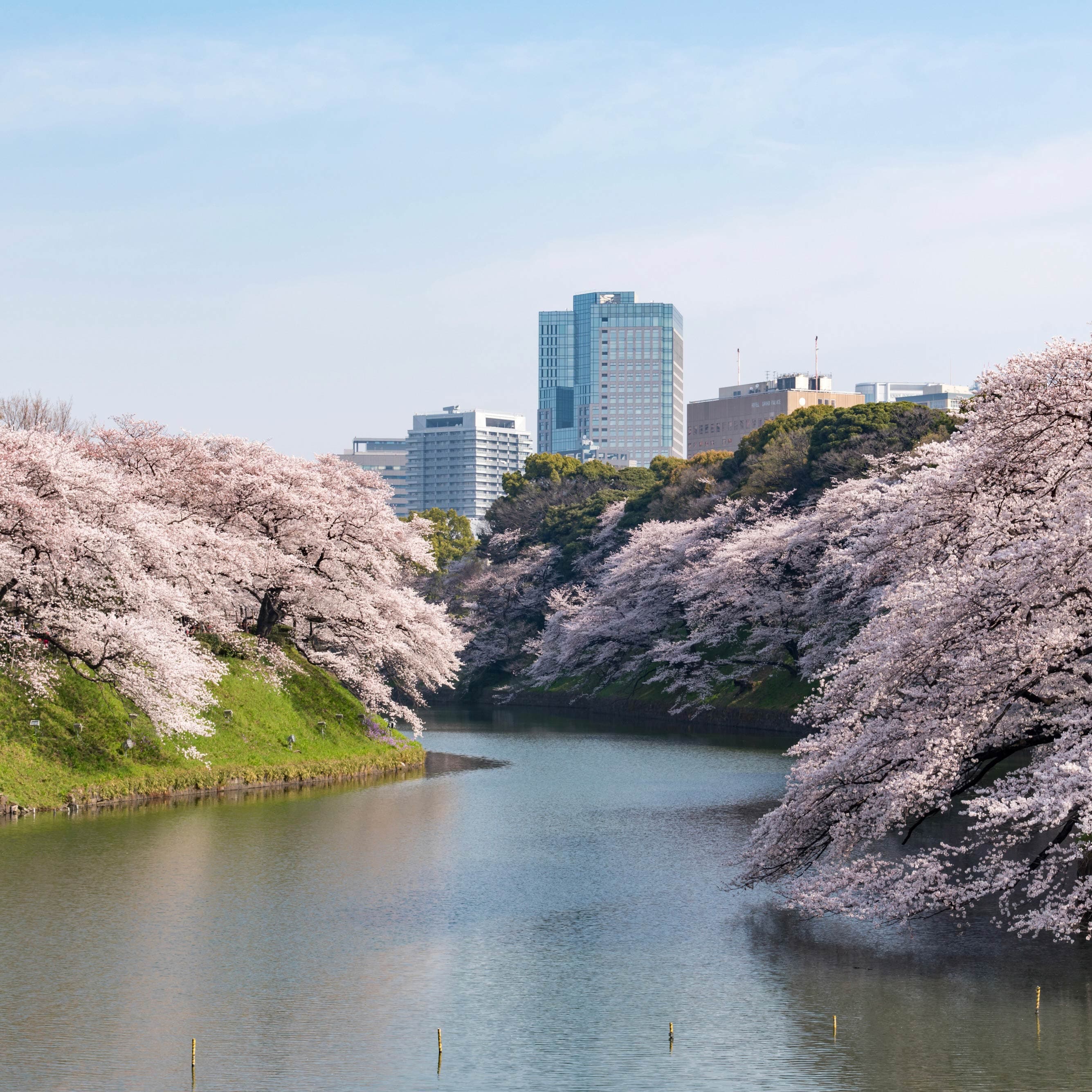 Meet at Kudanshita Station and start the tour.