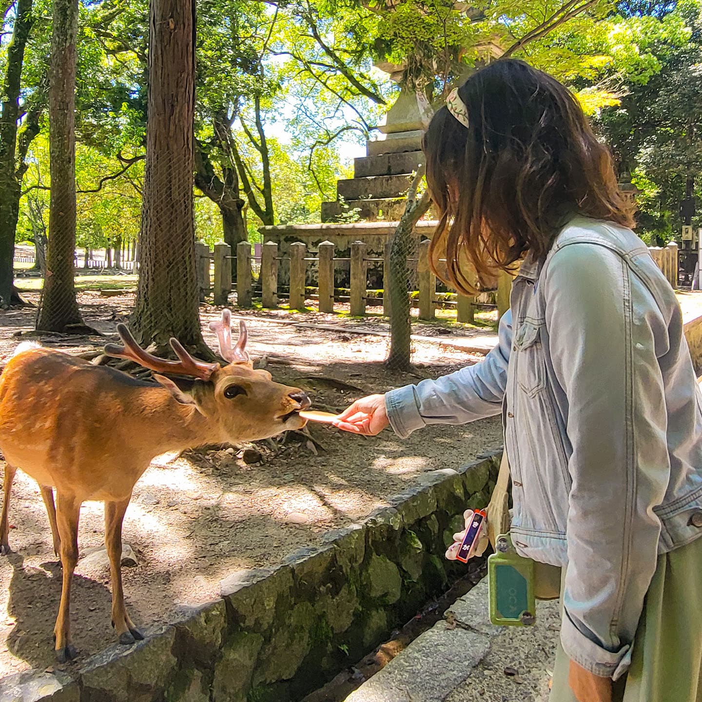 Living Heritage: Real-Time Cultural Insights.