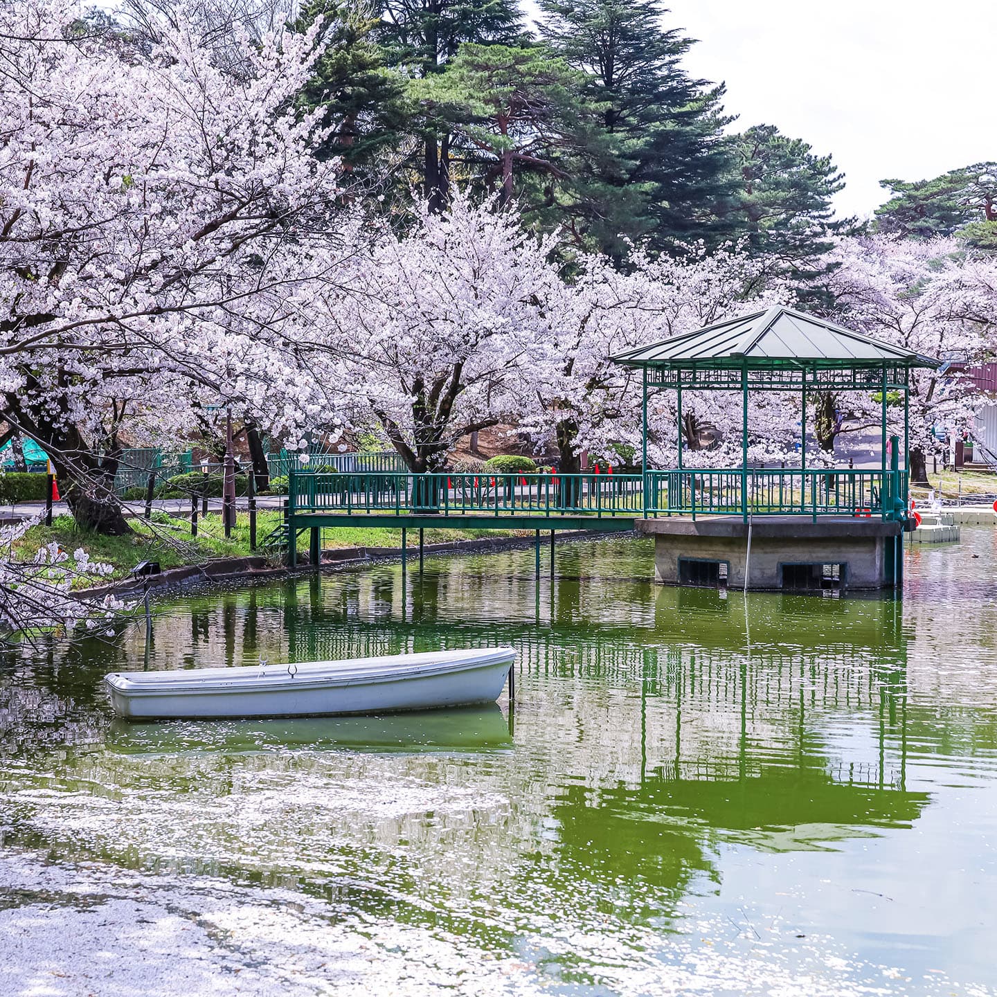 Shrine & Park Rhythm