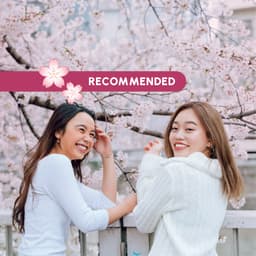 Tokyo’s Secret Sakura: Spring Seen Like a Local