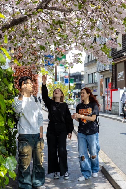 Tour Image