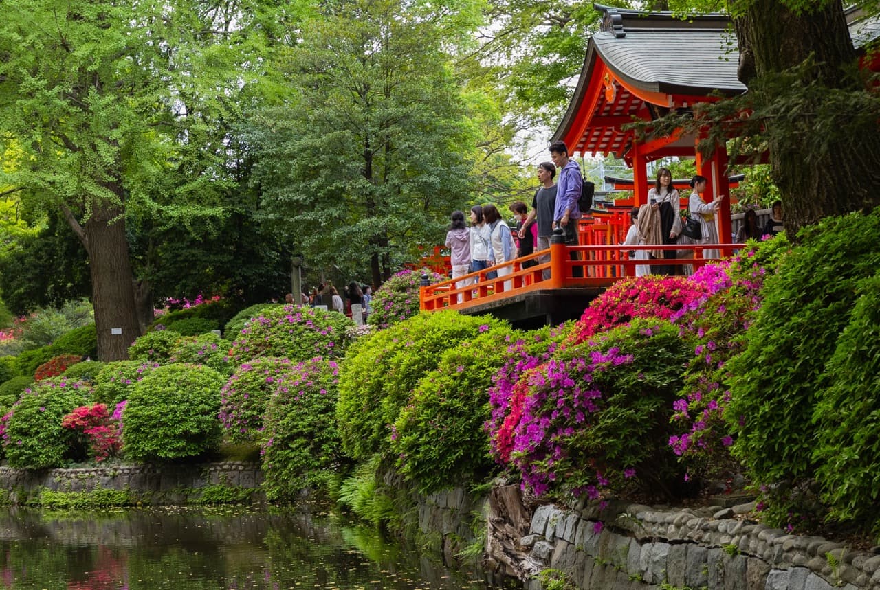 Tour Image
