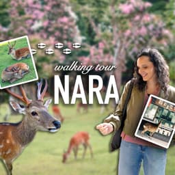Nara Walking Tour: From Sacred Temples to Bowing Deer