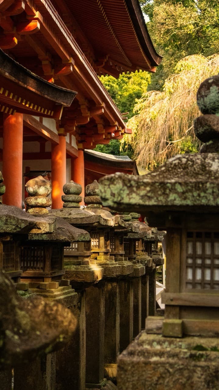 Tour Image