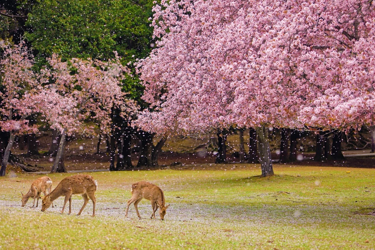 Tour Image