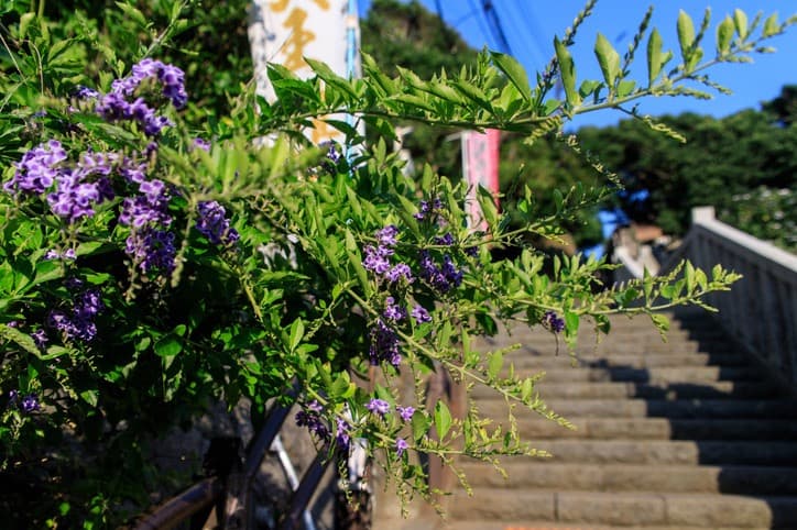 Tour Image
