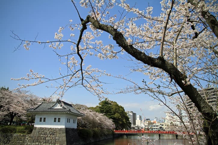 Tour Image