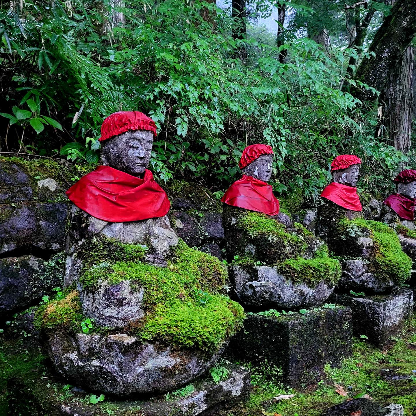 Tour Image