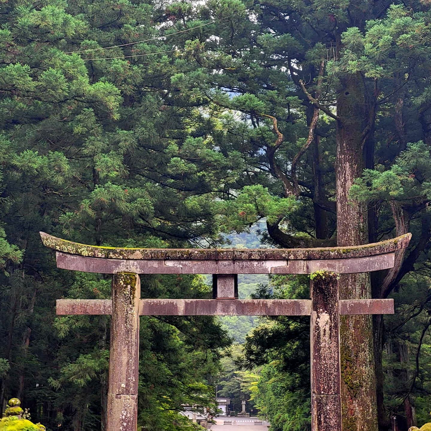 Tour Image