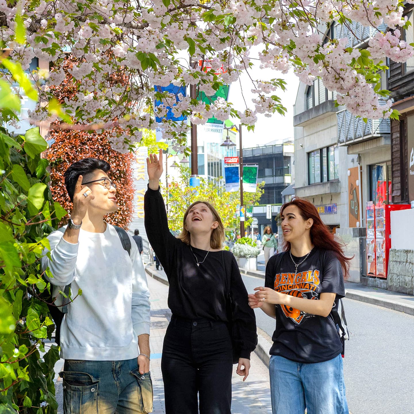 Tour Image