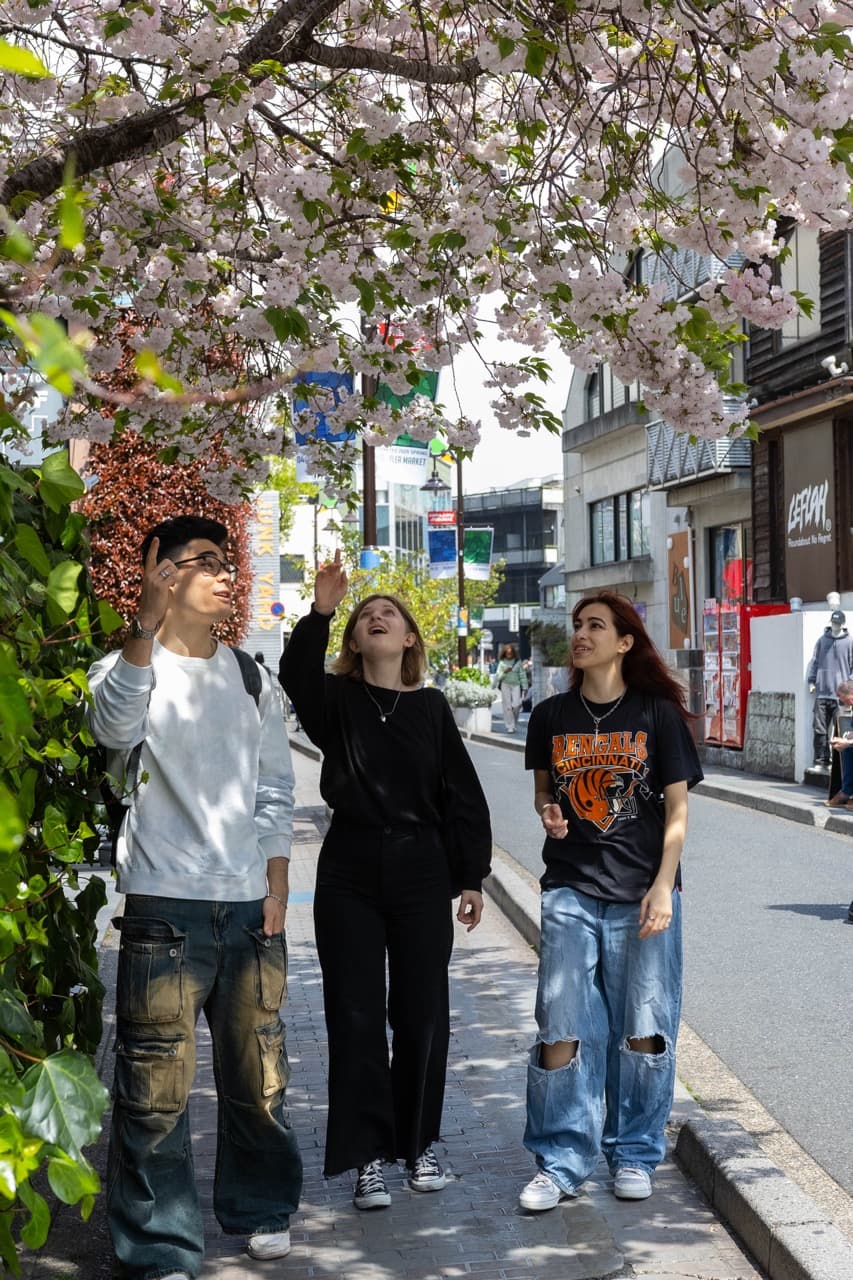 Tour Image