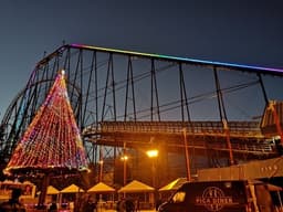 Fuji-Q Rollercoaster Rush: Japan Theme Park Tour with a Local