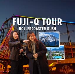Fuji-Q Rollercoaster Rush: Japan Theme Park Tour with a Local