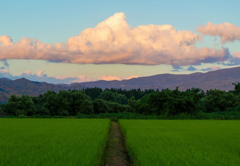 Over-tourism in Japan: Building a Sustainable Future