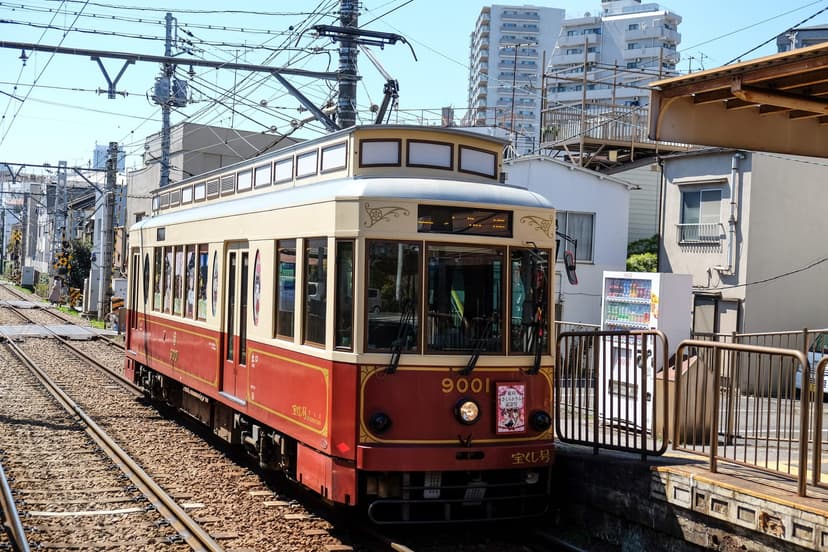 Chasing The Best Cherry Blossom Spots in Tokyo on The Sakura Tram