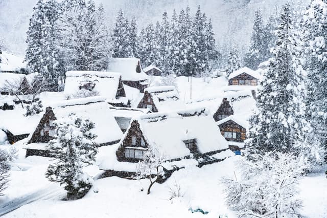 Japan in January: Hatsumode Shrines to Visit for the New Year
