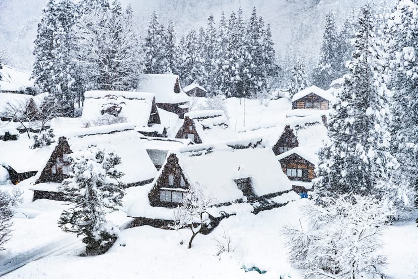 Japan in January: Hatsumode Shrines to Visit for the New Year