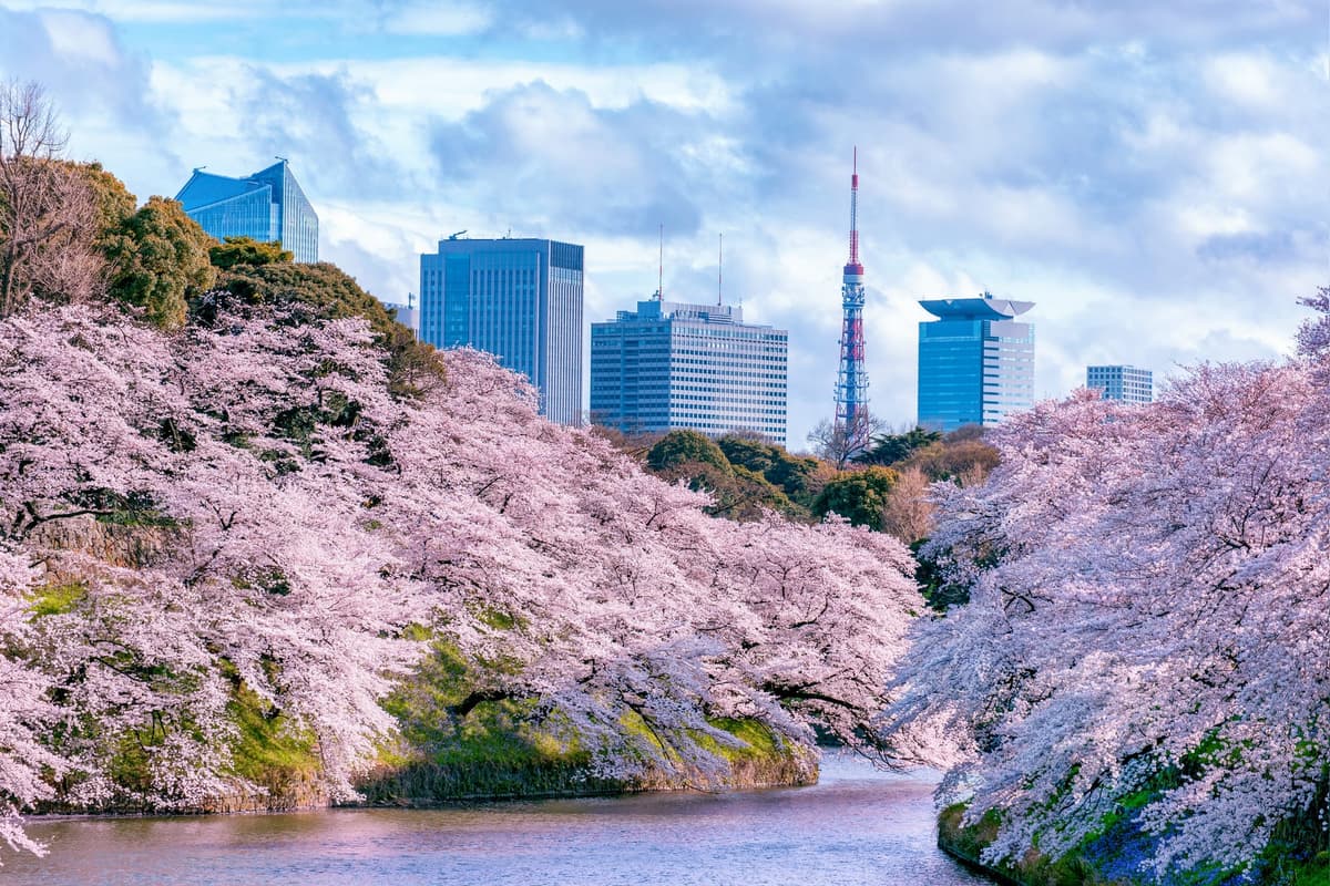 Spring in Japan: What to Expect Beyond Cherry Blossoms
