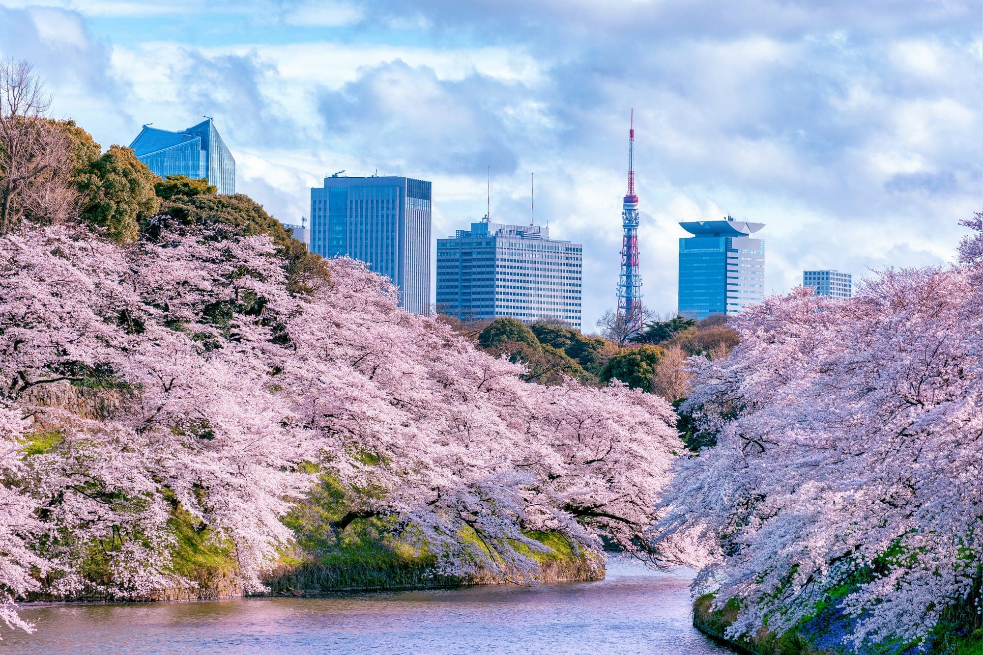 Spring in Japan: What to Expect Beyond Cherry Blossoms