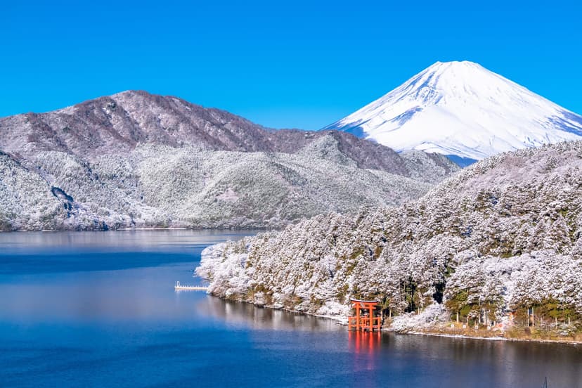 What to Do in Japan in January: A Winter Travel Guide