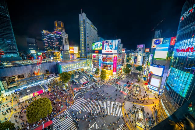 Best Time to Visit Tokyo: Season by Season Guide