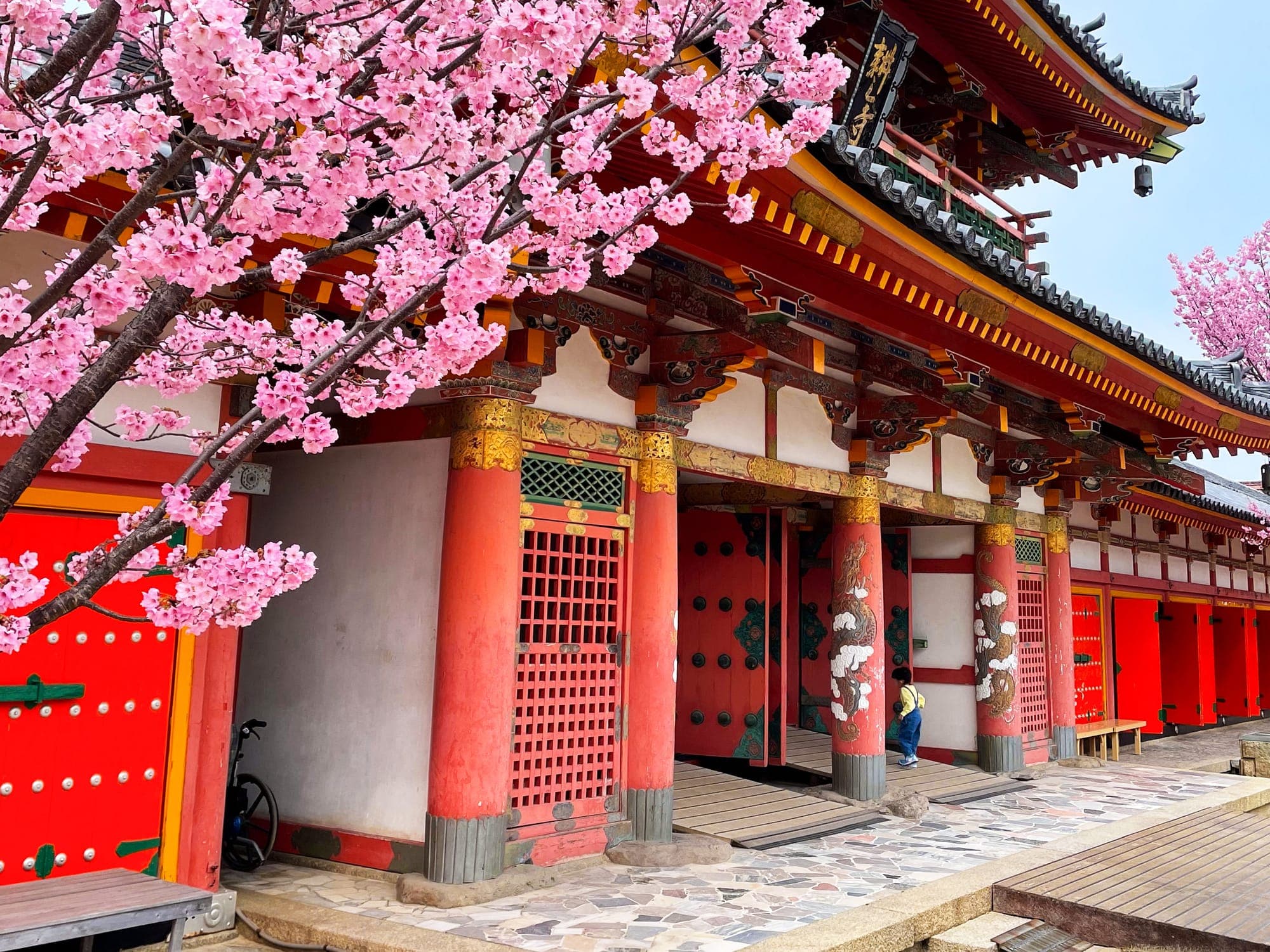 When Is the Best Time to See Cherry Blossoms in Japan?