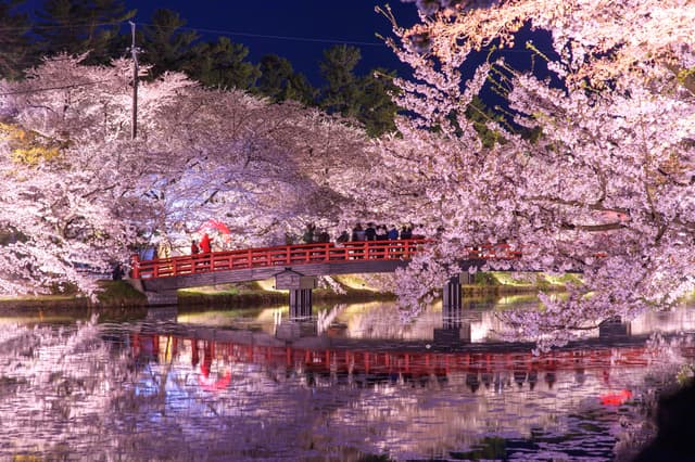 Sakura Festivals in Japan 2026: The Best Hanami Celebrations to Experience This Spring