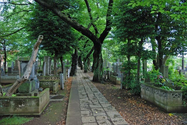 Tour Image